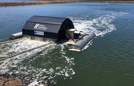 Lagoon & Pond Aeration
