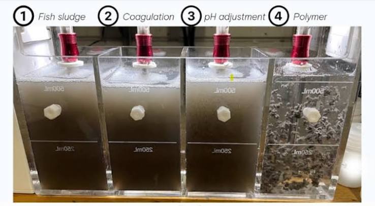 Polymer Flocculants